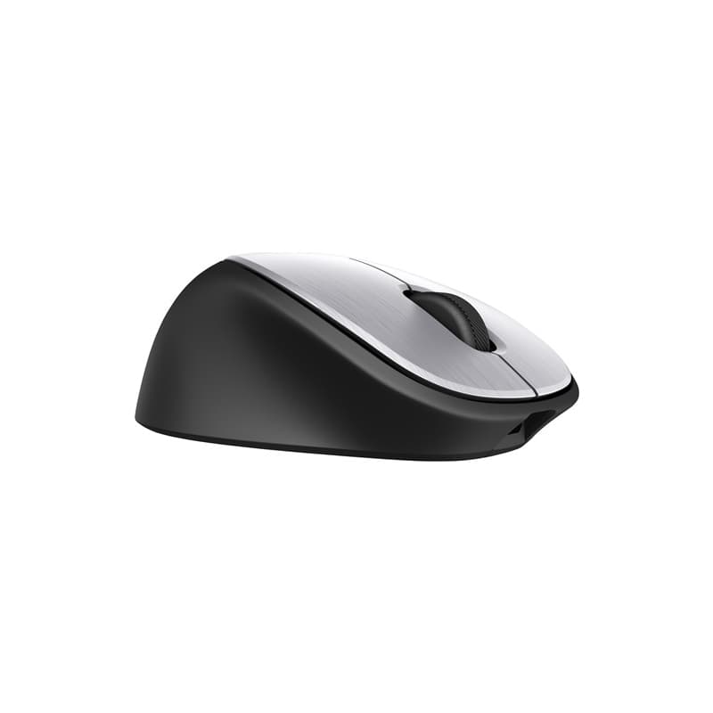 HP ENVY 500 Mouse