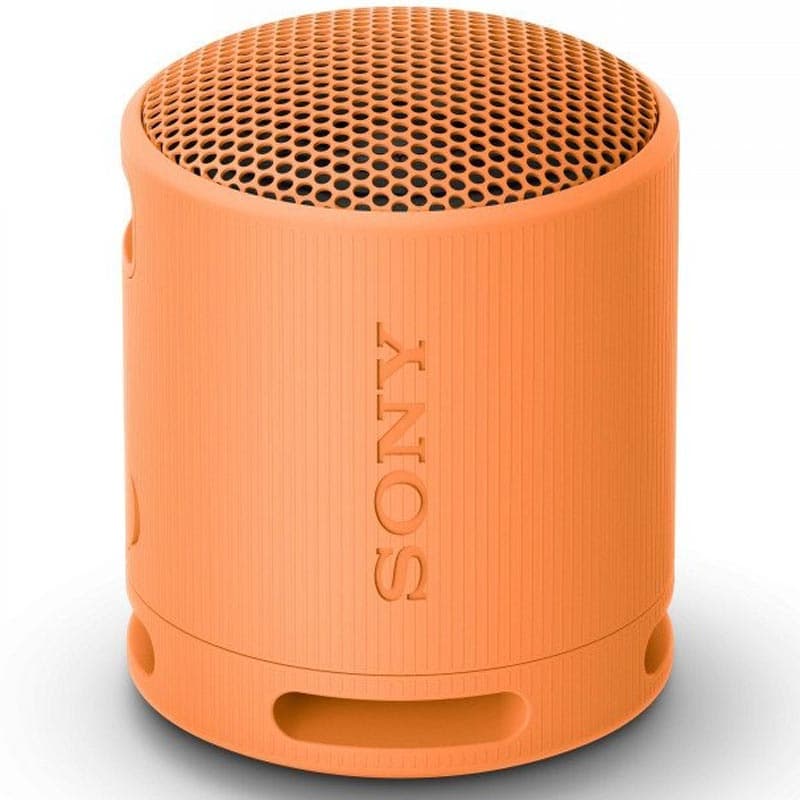 Sony SRSXB100 Speaker