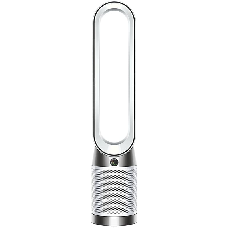 PASTRUES AJRI DYSON 544901 PC1
