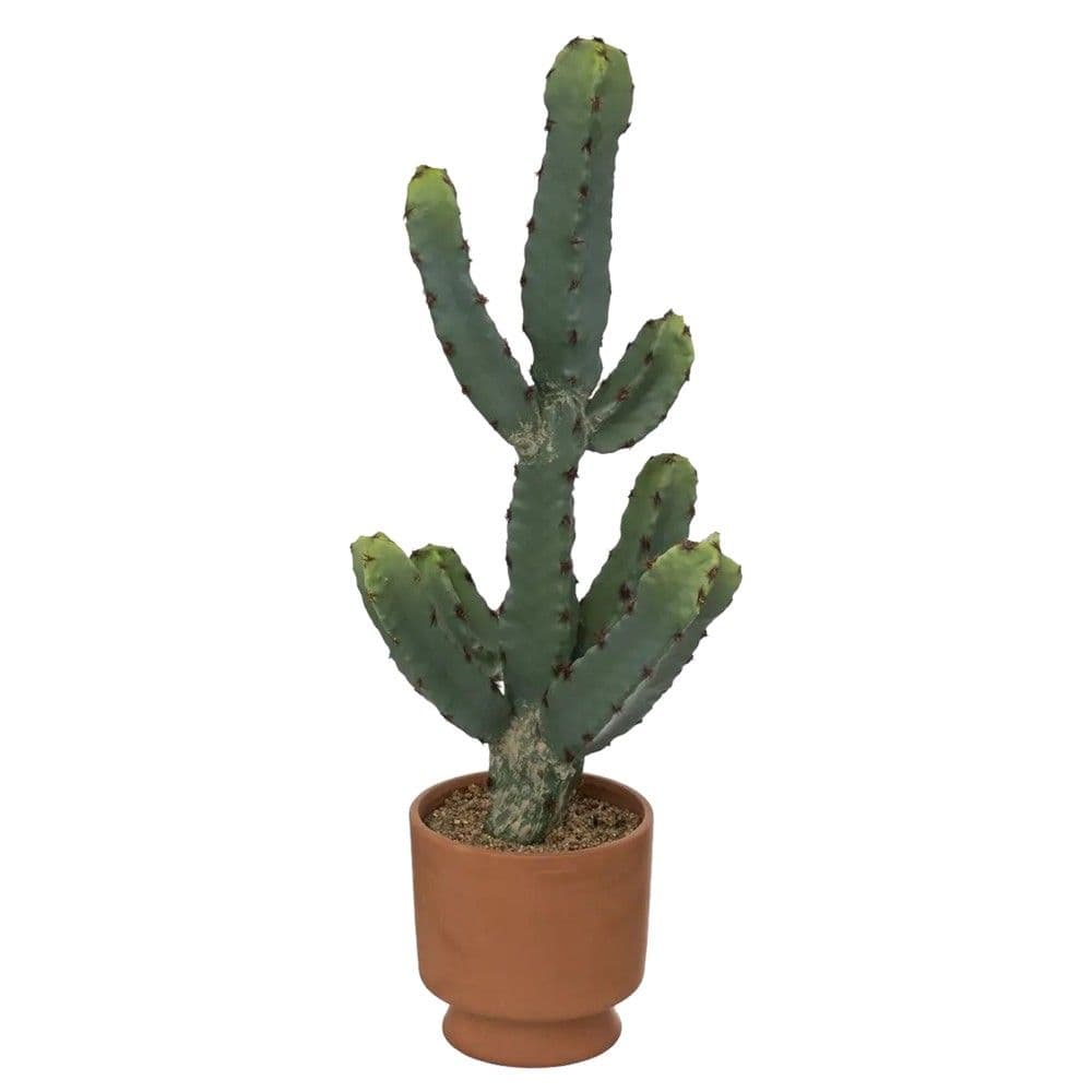 Lule artificiale në vazo, Cactus, polietilen/terrakotë, të ndryshme, 19xH49 cm