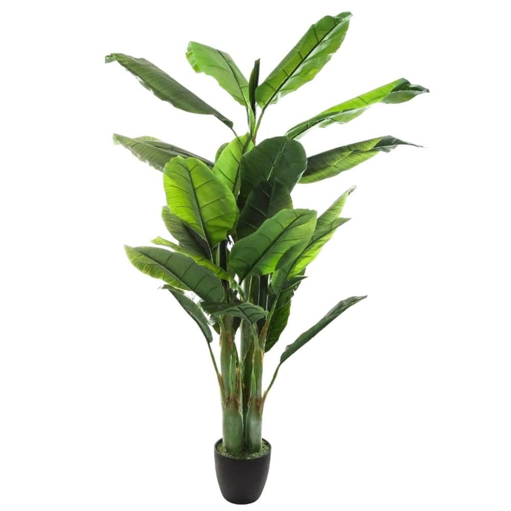Lule artificiale, Banana Tree , në vazo, PE/VA, jeshile ,116X116xH168 cm