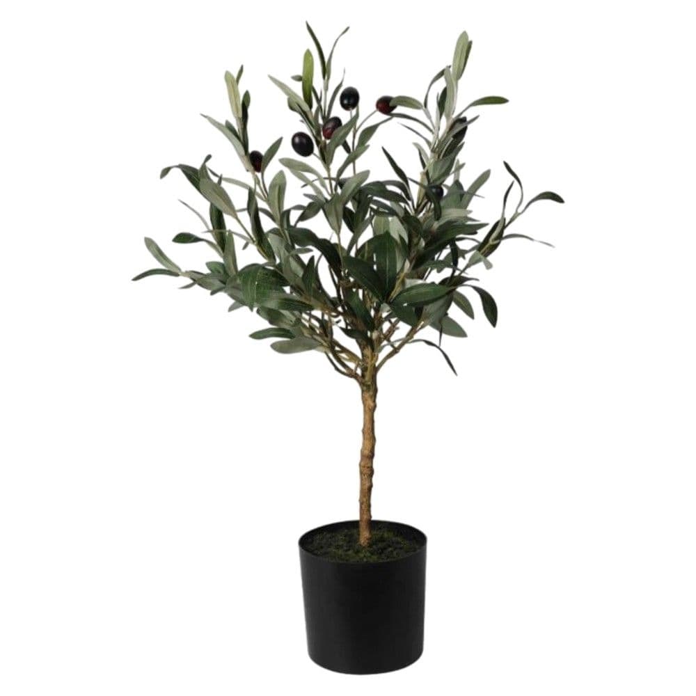 Lule artificiale, Olive, në vazo, plastike/beton, jeshile, H66 cm