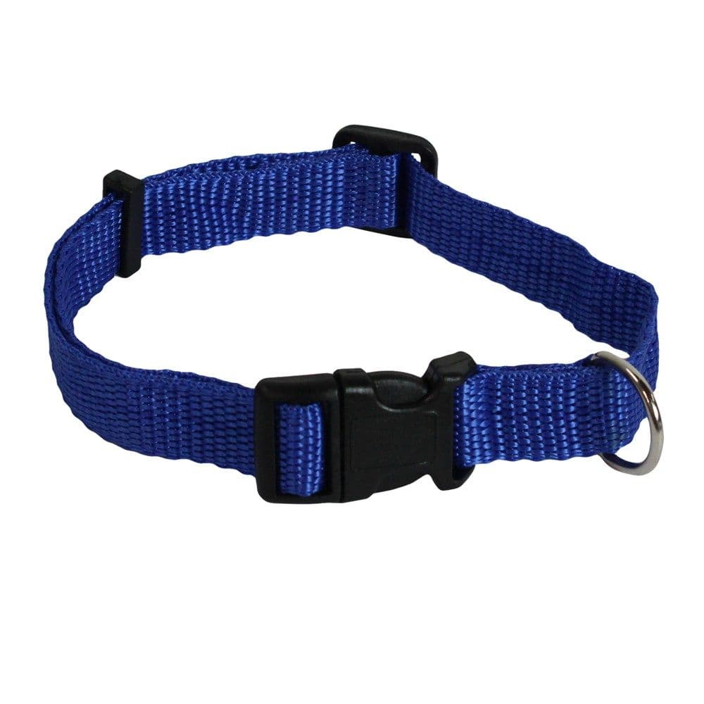 Qafore për qen, Cocco, najloni, gjatesi e rregullueshme nga 30-46 cm, blu