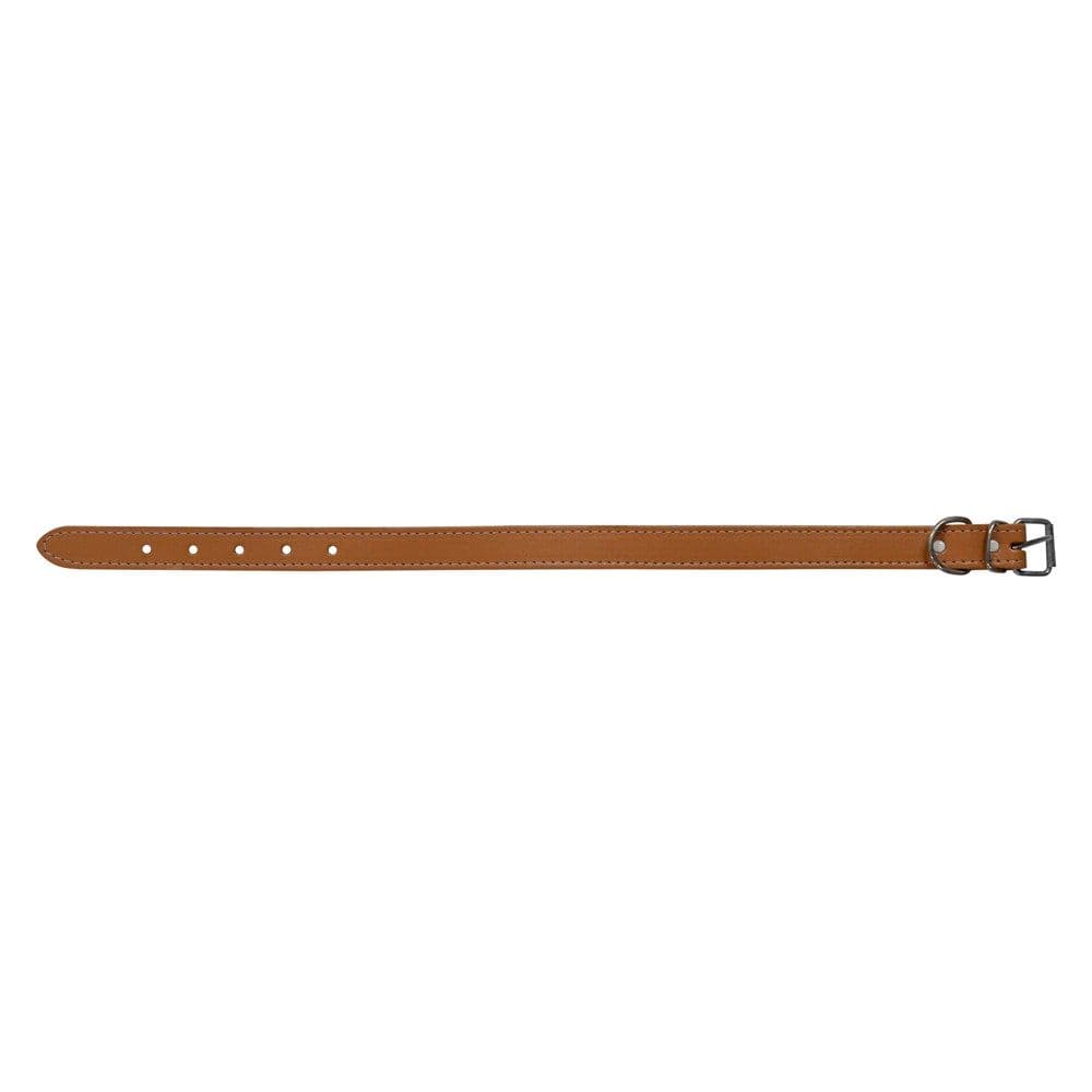 Qafore për qen, Cocco, 25 x 550 mm, lëkure