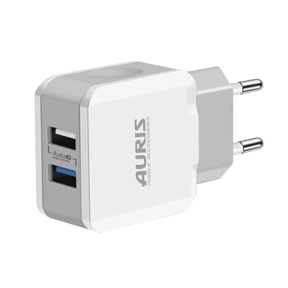 Karikues + fishë, Auris, CH17, 3.4A, fishë USB - Type-C