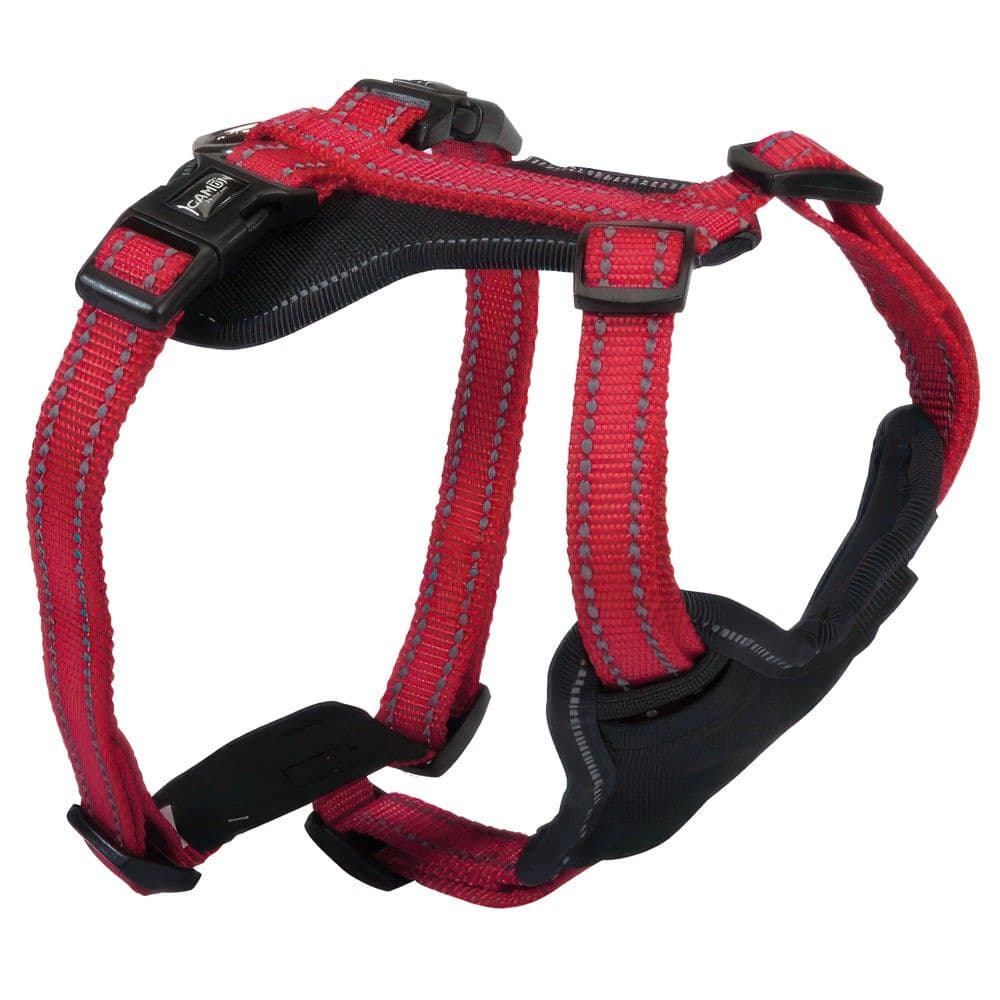 Trupore relfektive, Camon, masa L, spesor 2.5 cm, gjoks 77/110 cm, qafe 57/94 cm, ngjyra e kuqe